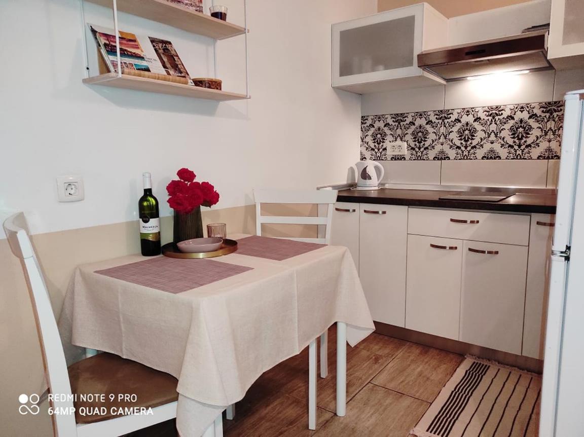 Nice Apartment In The City Center Rovinj Eksteriør billede